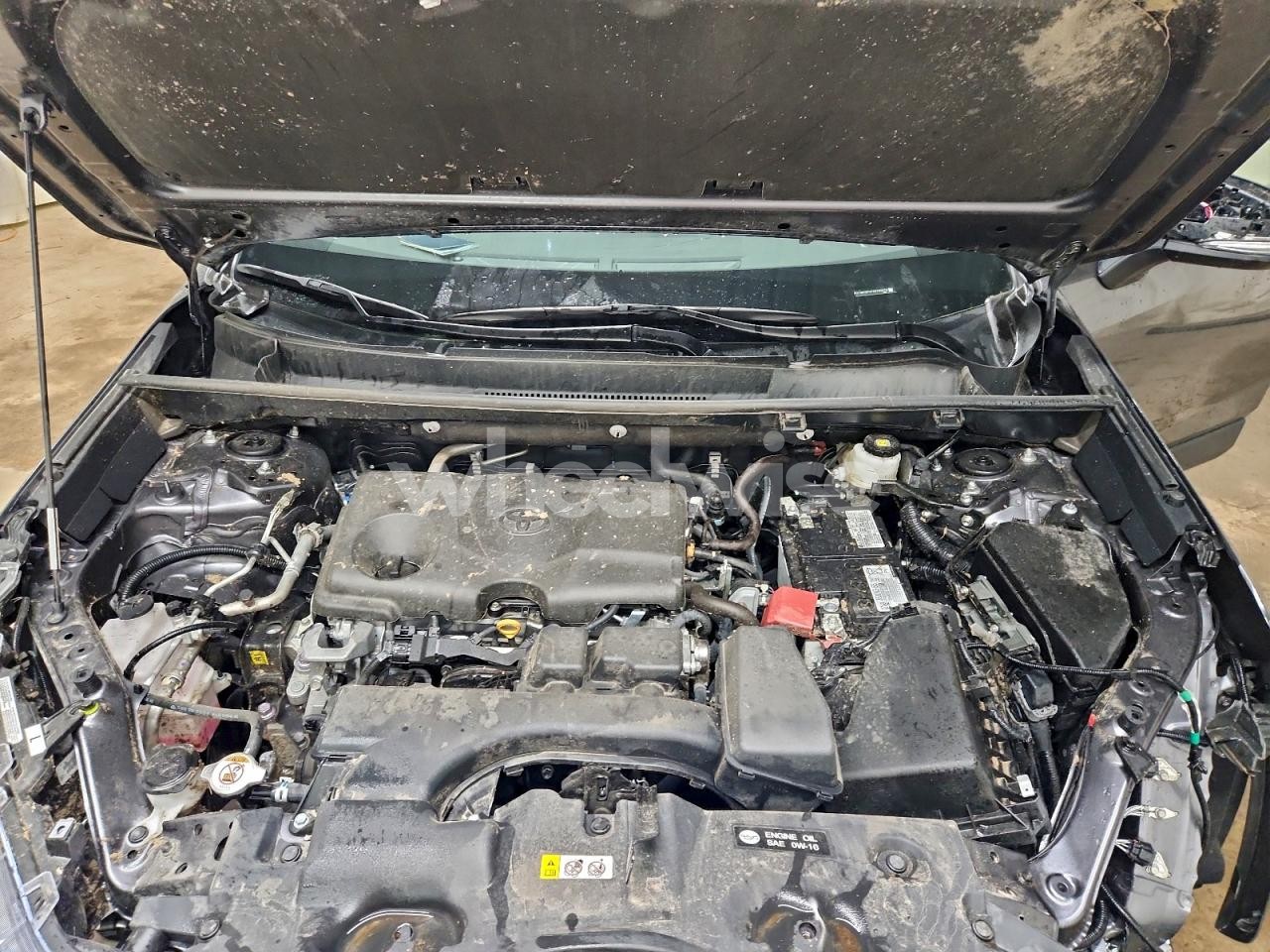 Photo 12 of 2025 TOYOTA RAV4 XLE (VIN 2T3W1RFV7SC330670)