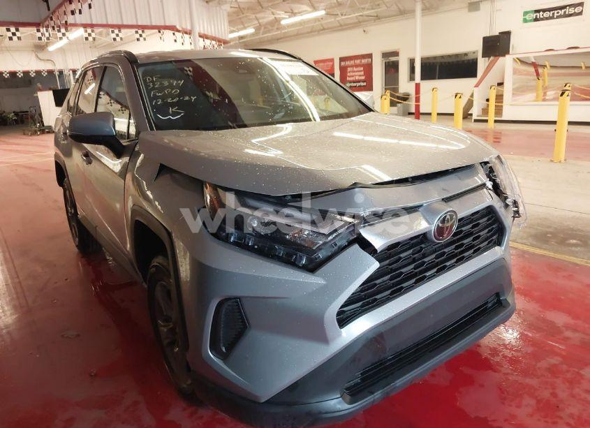 2024 Toyota Rav4 XLE (VIN 2T3W1RFV8RW318780) main photo