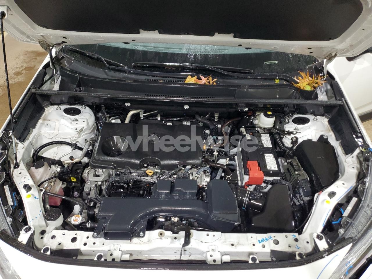 Photo 12 of 2024 TOYOTA RAV4 XLE (VIN 2T3W1RFV8RW332128)