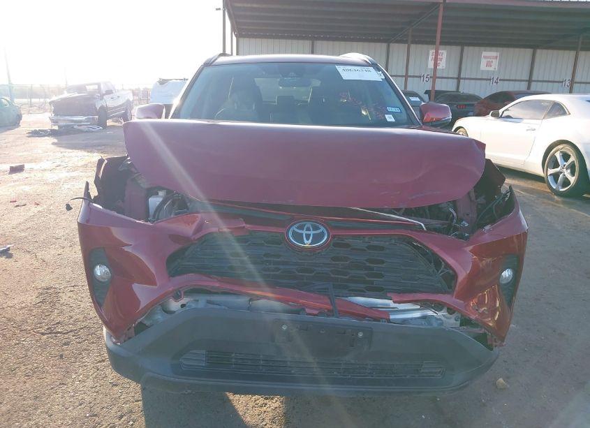 Photo 13 of 2019 Toyota Rav4 XLE (VIN 2T3W1RFV9KC008449)