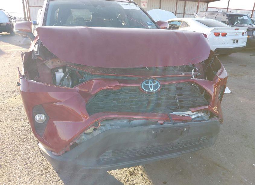 Photo 6 of 2019 Toyota Rav4 XLE (VIN 2T3W1RFV9KC008449)