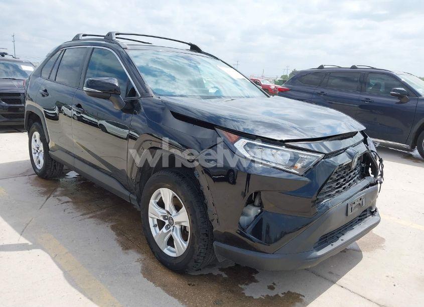 2019 Toyota Rav4 XLE (VIN 2T3W1RFV9KC009374) main photo