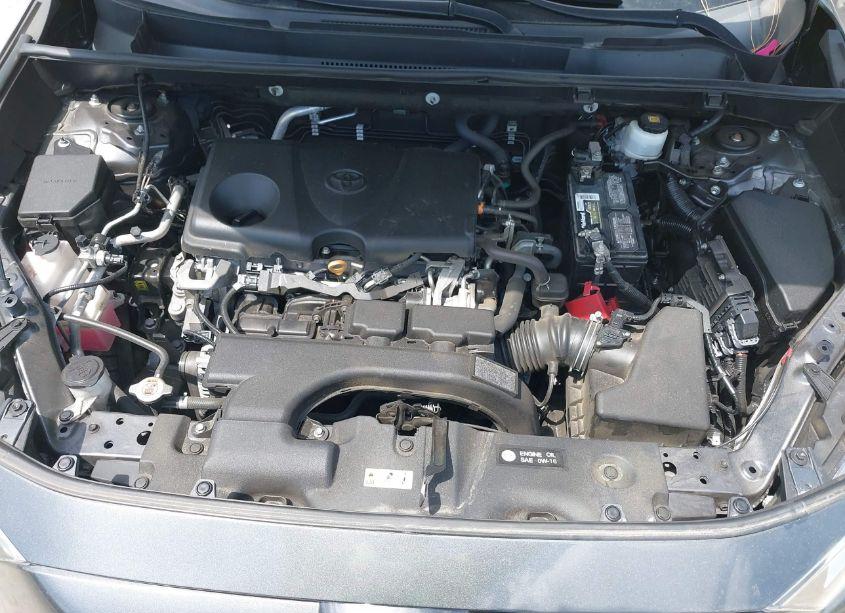 Photo 10 of 2020 Toyota Rav4 XLE (VIN 2T3W1RFV9LC070659)