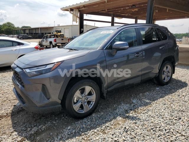 Photo 8 of 2024 TOYOTA RAV4 XLE (VIN 2T3W1RFV9RC253617)