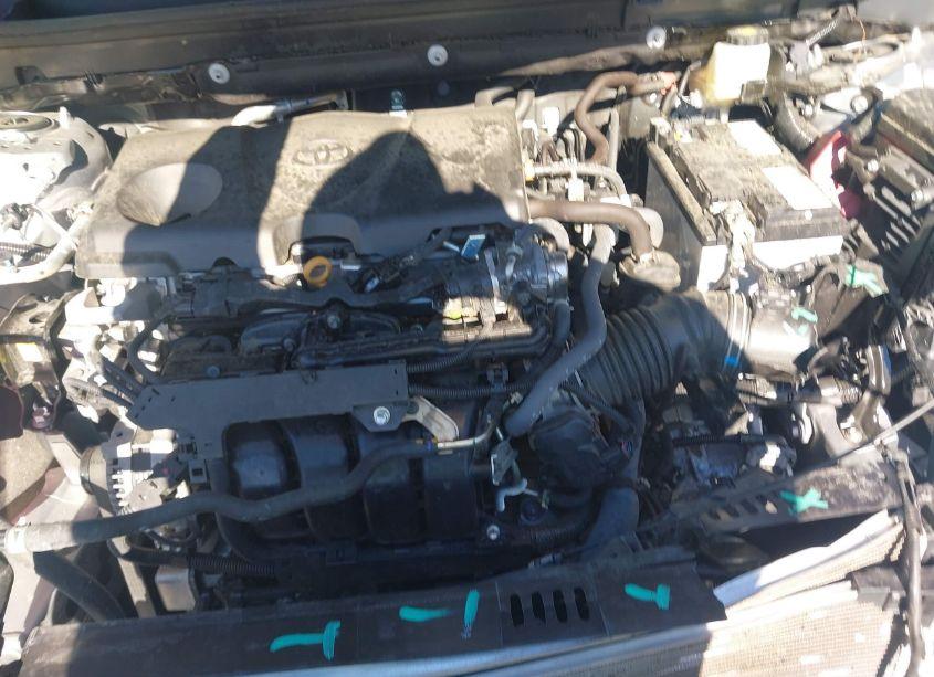 Photo 9 of 2024 Toyota Rav4 XLE (VIN 2T3W1RFV9RC254640)