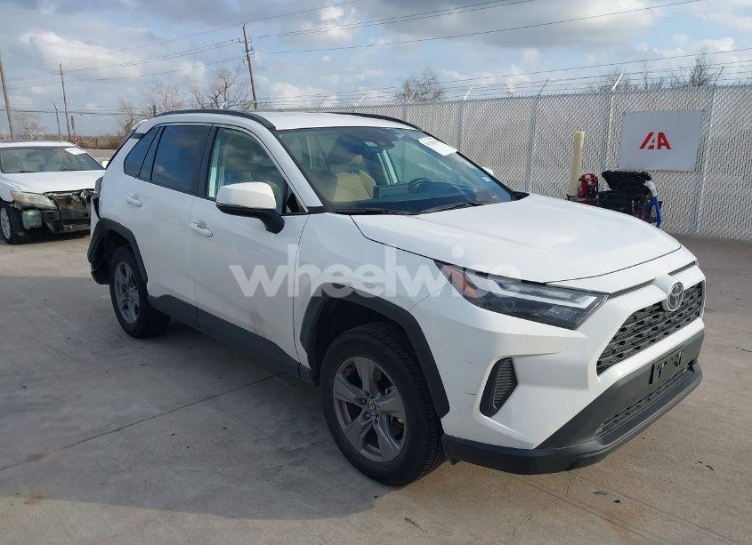 2024 Toyota Rav4 XLE (VIN 2T3W1RFV9RC257957) main photo