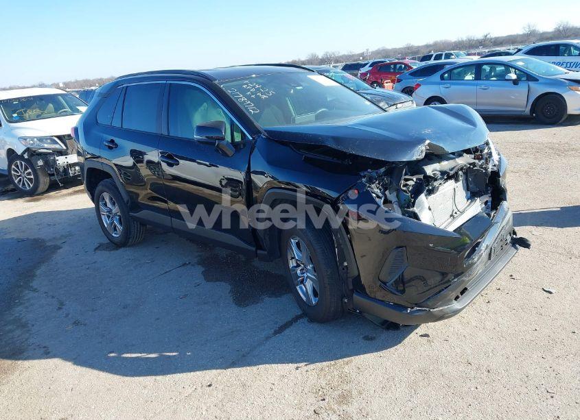 2024 Toyota Rav4 XLE (VIN 2T3W1RFV9RC293146) main photo