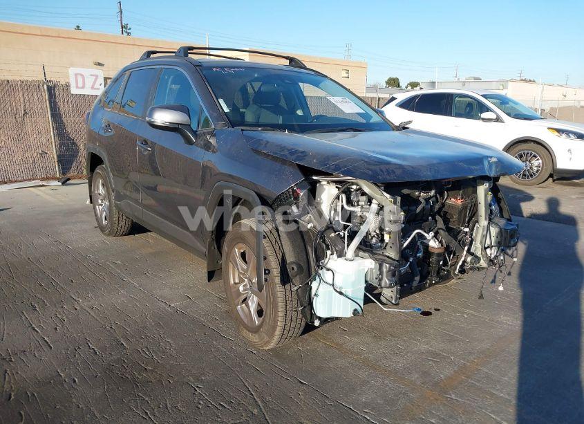 2024 Toyota Rav4 XLE (VIN 2T3W1RFV9RW363839) main photo