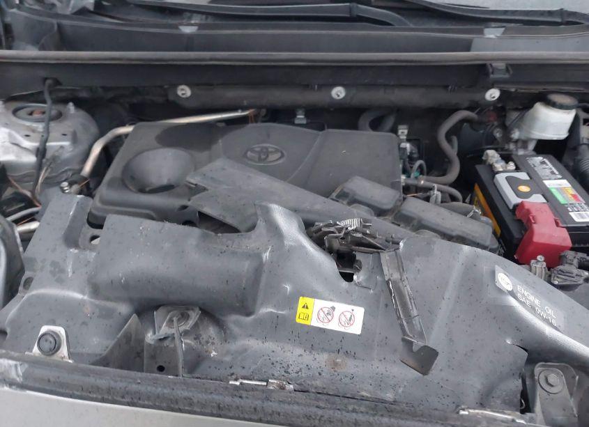 Photo 10 of 2019 Toyota Rav4 XLE (VIN 2T3W1RFVXKW013982)