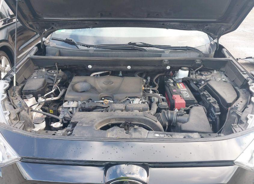 Photo 10 of 2020 Toyota Rav4 XLE (VIN 2T3W1RFVXLC036245)