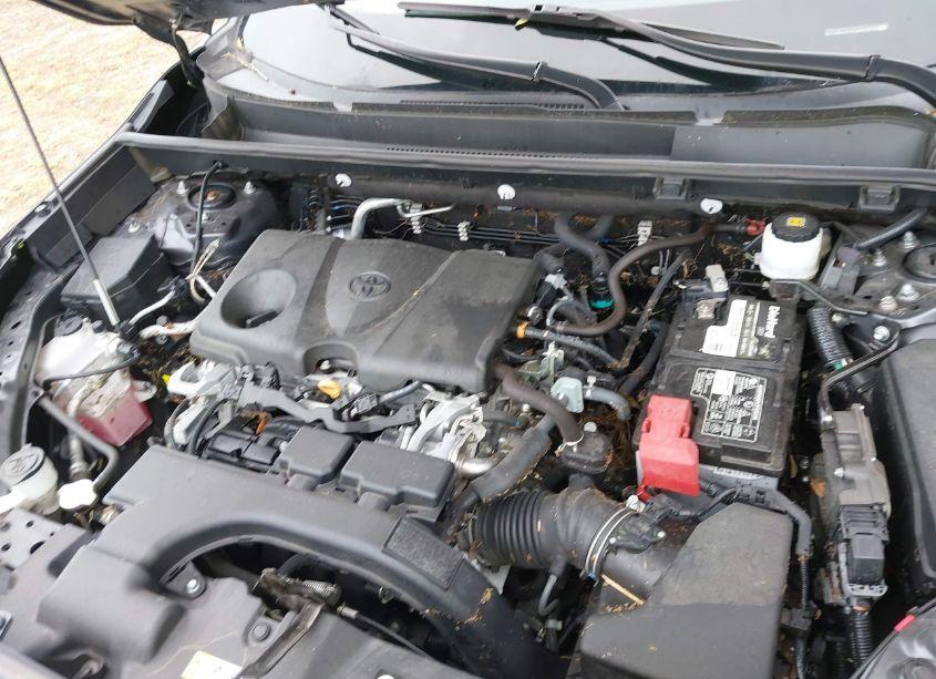Photo 10 of 2020 Toyota Rav4 XLE (VIN 2T3W1RFVXLW092541)