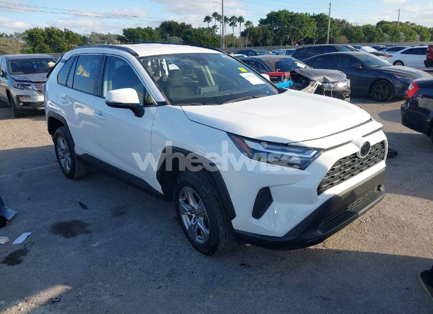 2023 Toyota Rav4 XLE (VIN 2T3W1RFVXPW250799) main photo