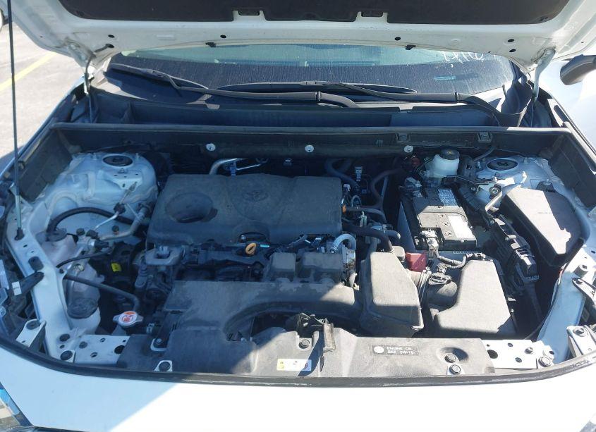 Photo 10 of 2023 Toyota Rav4 XLE (VIN 2T3W1RFVXPW285715)