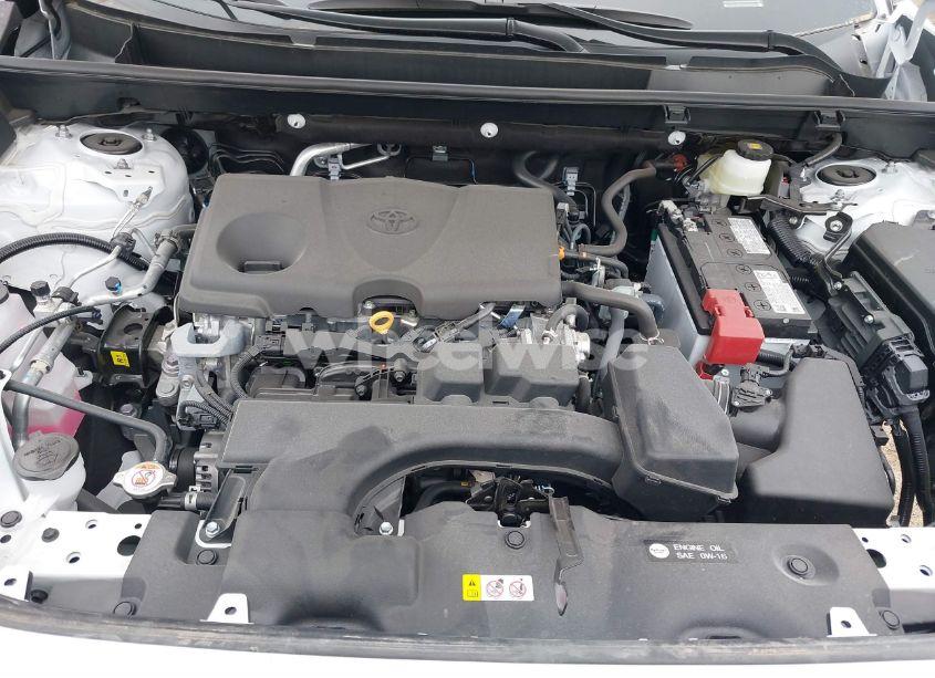 Photo 10 of 2025 Toyota Rav4 XLE (VIN 2T3W1RFVXSW369915)