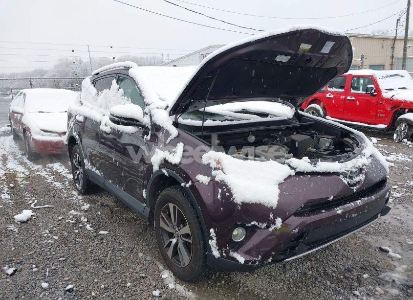 2017 Toyota Rav4 XLE (VIN 2T3WFREV1HW367059) main photo