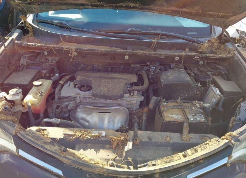 Photo 10 of 2016 Toyota Rav4 XLE (VIN 2T3WFREV2GW295576)