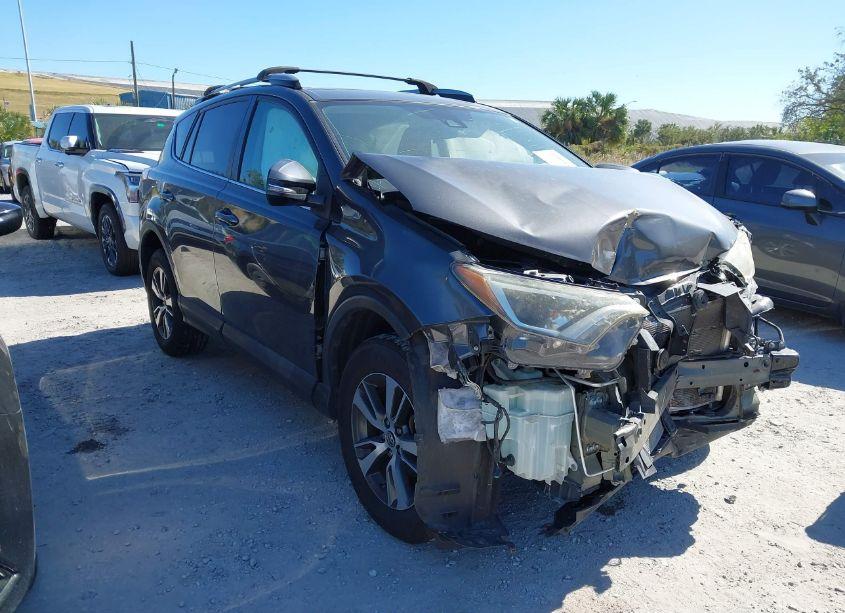 2018 Toyota Rav4 ADVENTURE/XLE (VIN 2T3WFREV4JW428734) main photo