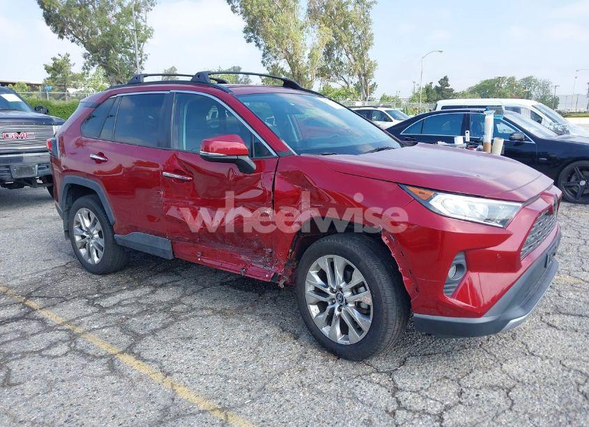 2019 Toyota Rav4 LIMITED (VIN 2T3Y1RFV1KC019924) main photo