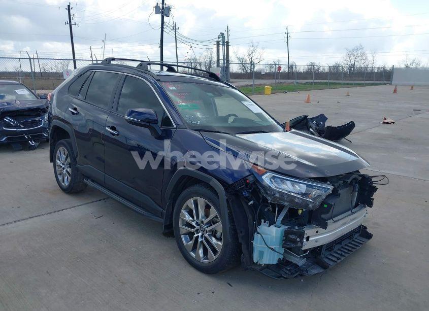2019 Toyota Rav4 LIMITED (VIN 2T3Y1RFV5KW031847) main photo