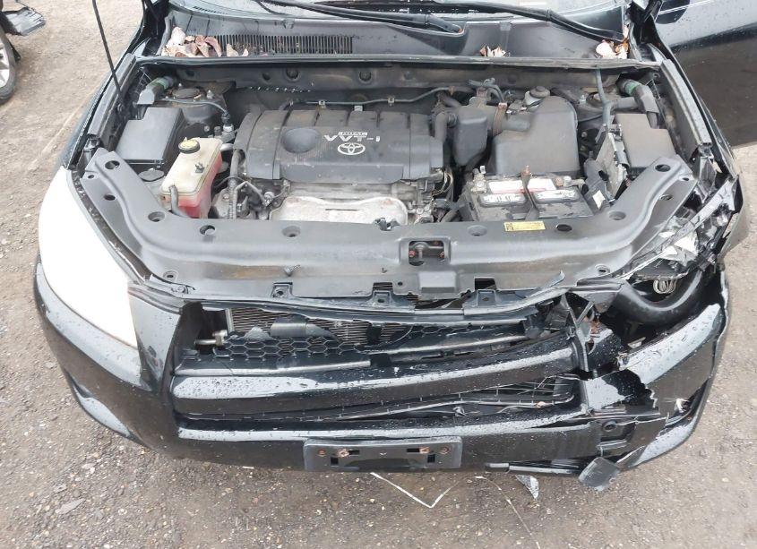 Photo 10 of 2010 Toyota Rav4 (VIN 2T3ZF4DV2AW023084)