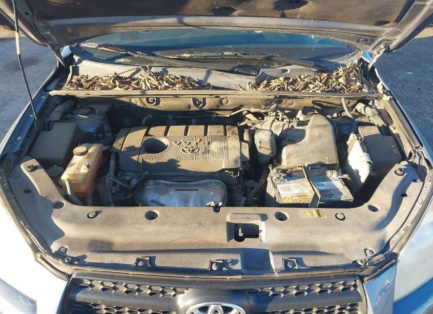 Photo 10 of 2012 Toyota Rav4 (VIN 2T3ZF4DV2CW123415)