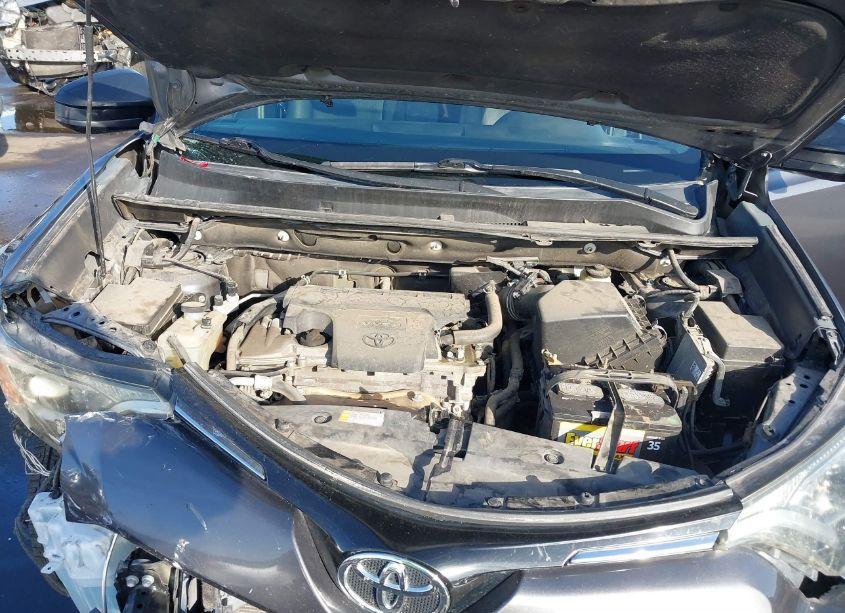 Photo 10 of 2016 Toyota Rav4 LE (VIN 2T3ZFREV8GW256049)