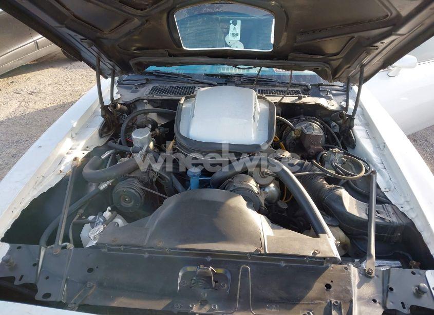 Photo 10 of 1979 Pontiac Trans-am (VIN 2WB7K9L172185)