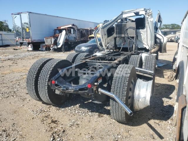 Photo 2 of 2022 FREIGHTLINER CASCADIA 126 TRUCK CAB AND CHASSIS (VIN 3AKJHLDV5NSNL1914)