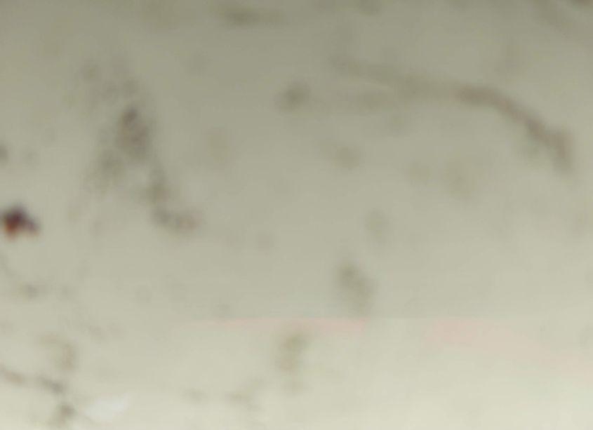 Photo 10 of 2020 Jeep Compass LATITUDE 4X4 (VIN 3C4NJDBB2LT245222)