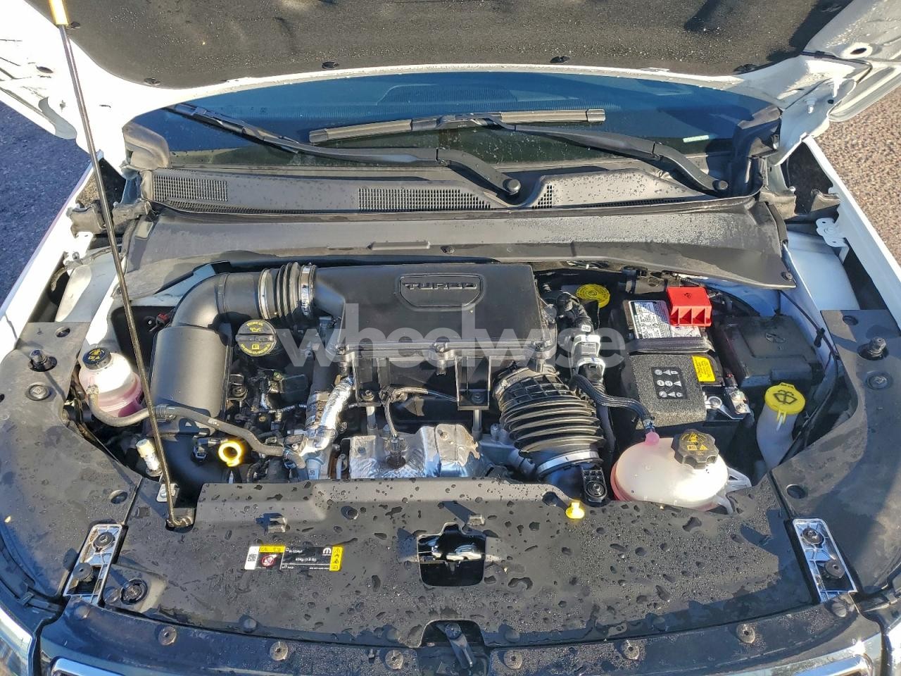 Photo 12 of 2025 JEEP COMPASS LIMITED (VIN 3C4NJDCN6ST615207)