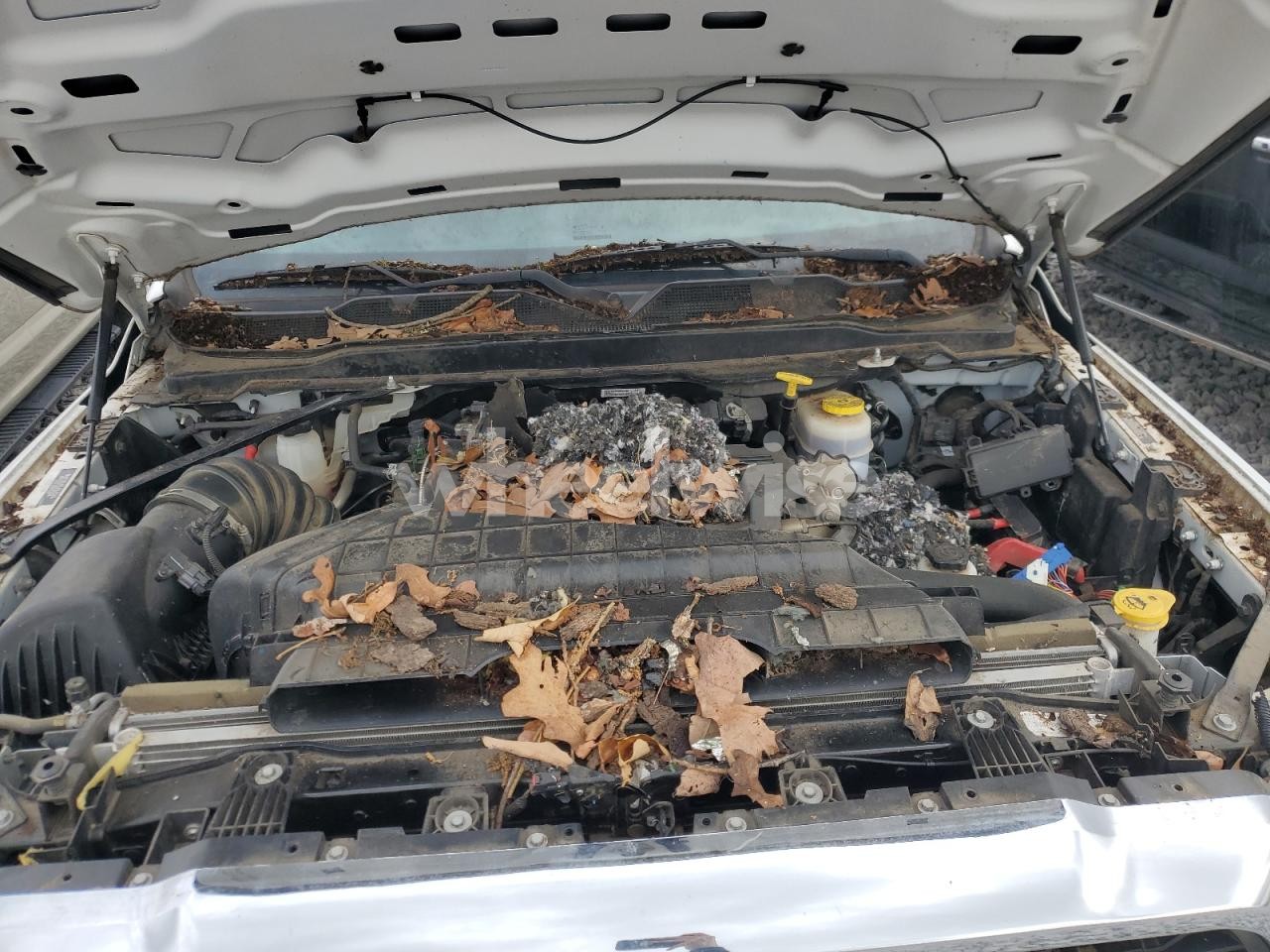 Photo 12 of 2020 RAM 3500 TRADESMAN N/A (VIN 3C63RRGL3LG114380)