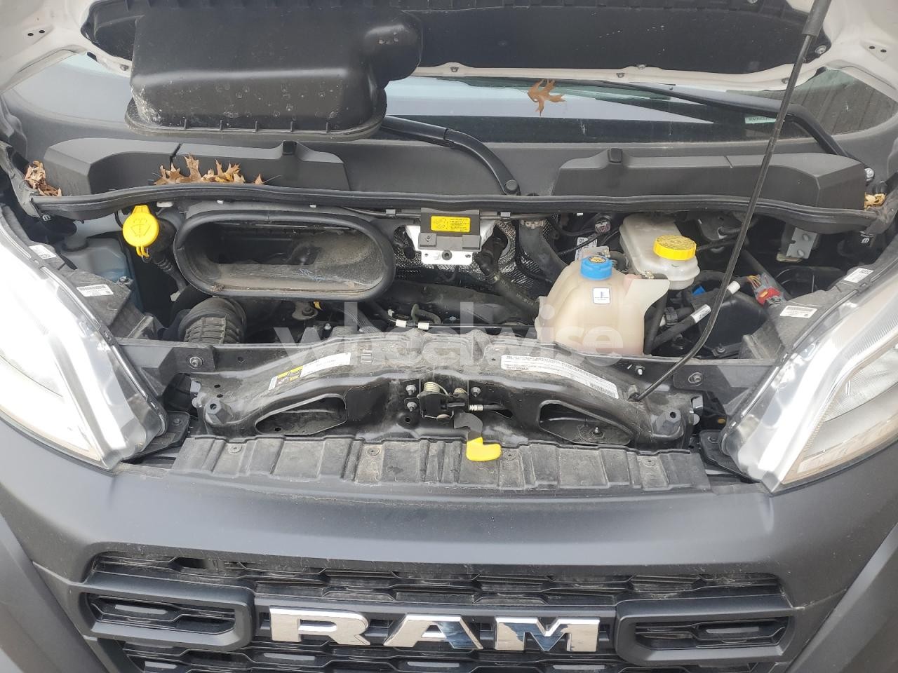 Photo 12 of 2025 RAM PROMASTER DELIVERY VAN N/A (VIN 3C6LRVCG8SE518836)