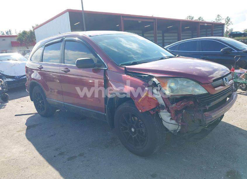 2009 Honda Cr-v LX (VIN 3CZRE38339G702731) main photo