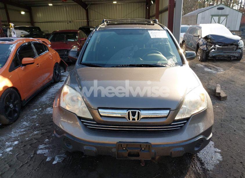 Photo 12 of 2009 Honda Cr-v EX (VIN 3CZRE38509G700209)