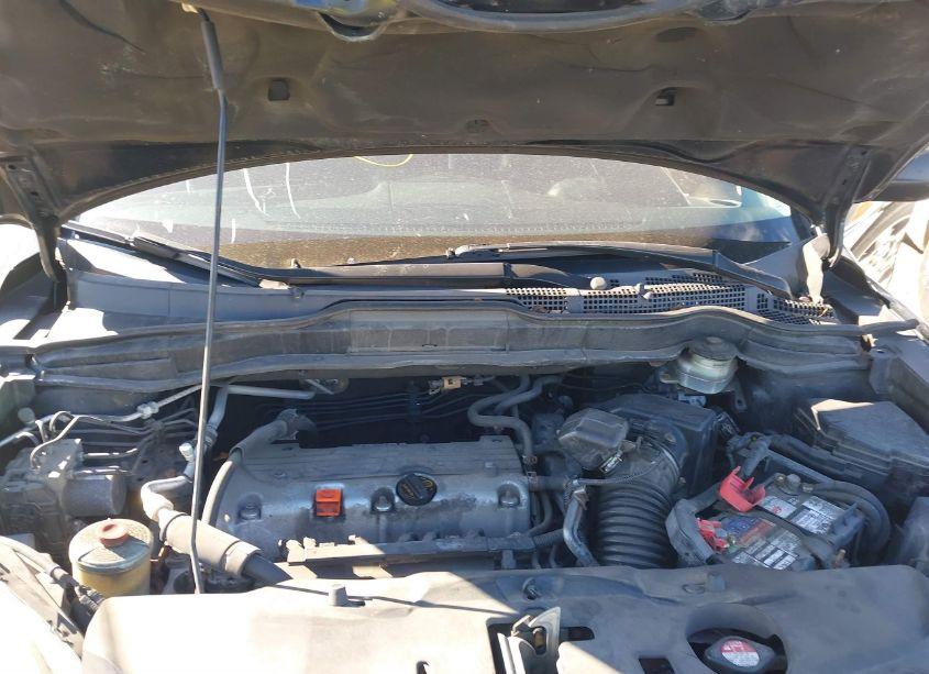 Photo 10 of 2010 Honda Cr-v LX (VIN 3CZRE3H31AG706121)