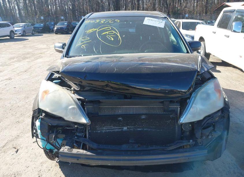 Photo 12 of 2010 Honda Cr-v LX (VIN 3CZRE3H31AG706121)