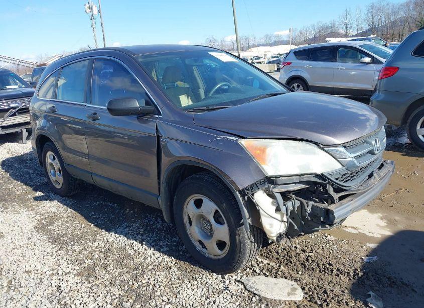 2011 Honda Cr-v LX (VIN 3CZRE3H37BG702124) main photo