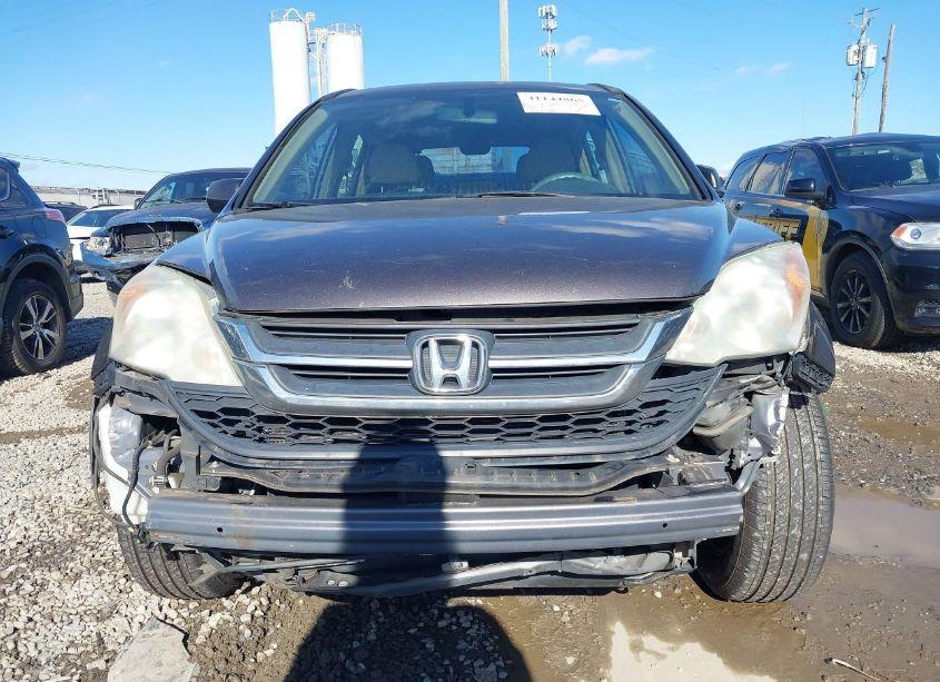 Photo 12 of 2011 Honda Cr-v LX (VIN 3CZRE3H37BG702124)
