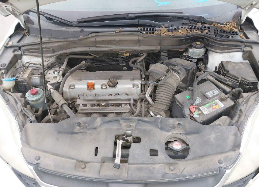 Photo 10 of 2010 Honda Cr-v LX (VIN 3CZRE3H3XAG705260)