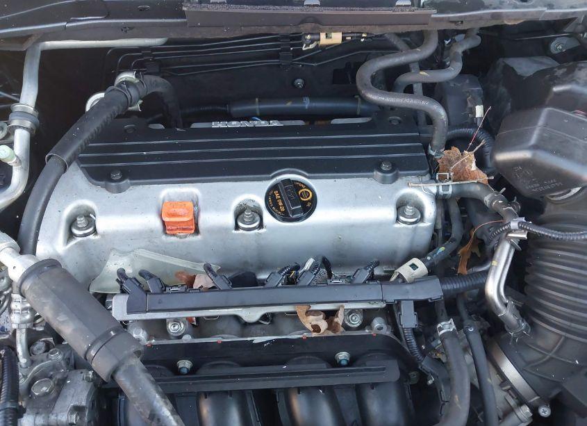 Photo 10 of 2010 Honda Cr-v EX (VIN 3CZRE3H50AG701428)