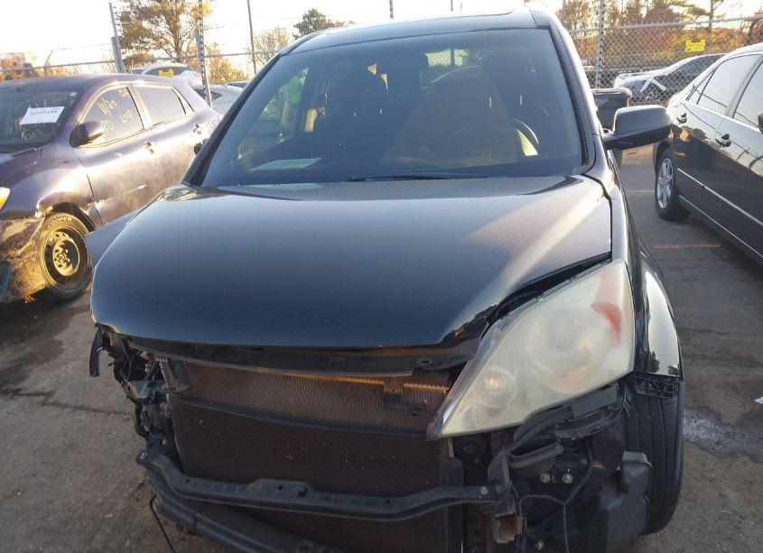 Photo 12 of 2010 Honda Cr-v EX (VIN 3CZRE3H50AG701428)