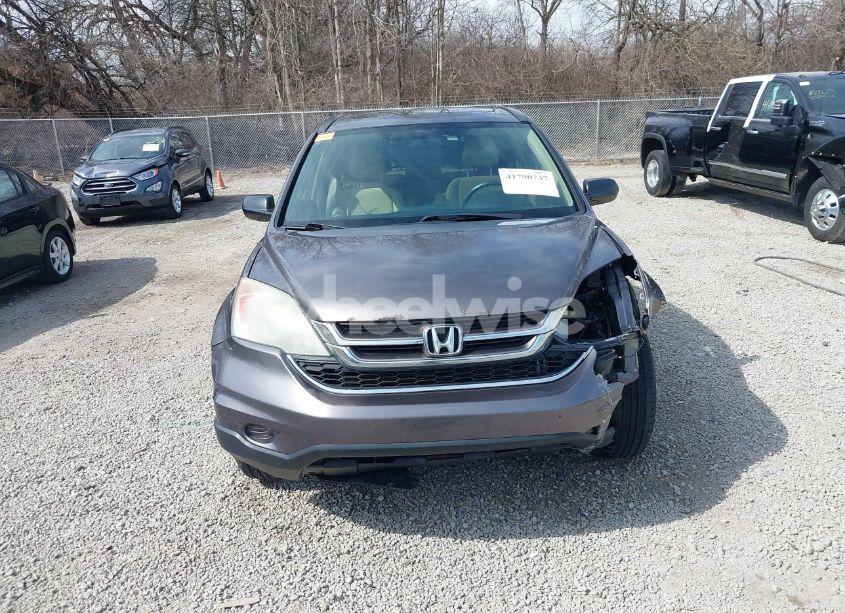 Photo 13 of 2010 Honda Cr-v EX (VIN 3CZRE3H50AG703597)