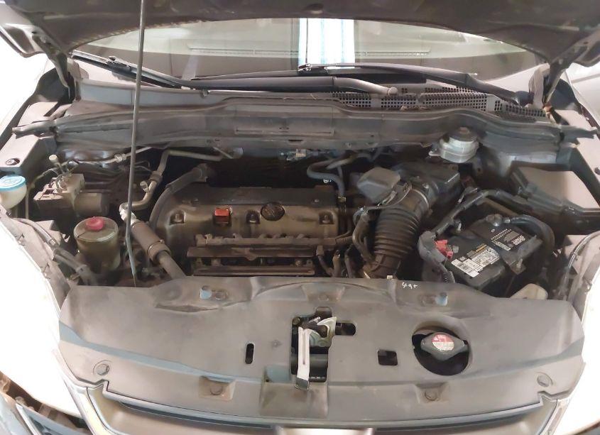 Photo 10 of 2010 Honda Cr-v EX (VIN 3CZRE3H59AG700732)