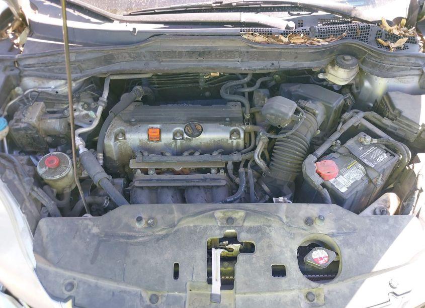 Photo 10 of 2010 Honda Cr-v EX (VIN 3CZRE3H5XAG701968)