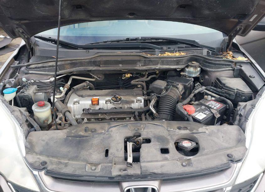 Photo 10 of 2010 Honda Cr-v EX (VIN 3CZRE4H56AG702573)