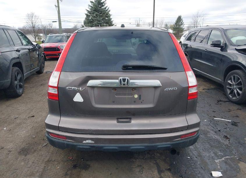 Photo 16 of 2010 Honda Cr-v EX (VIN 3CZRE4H56AG702573)