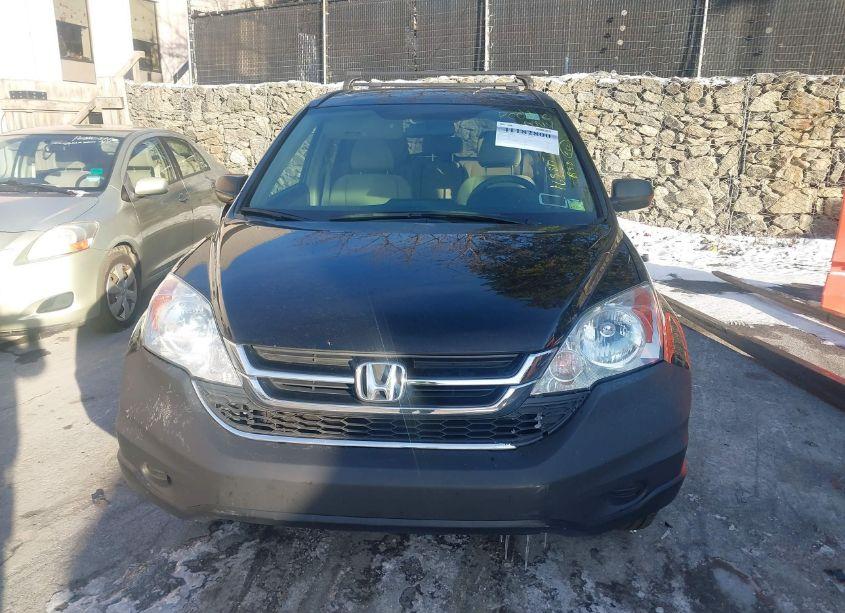 Photo 12 of 2010 Honda Cr-v EX (VIN 3CZRE4H59AG704141)