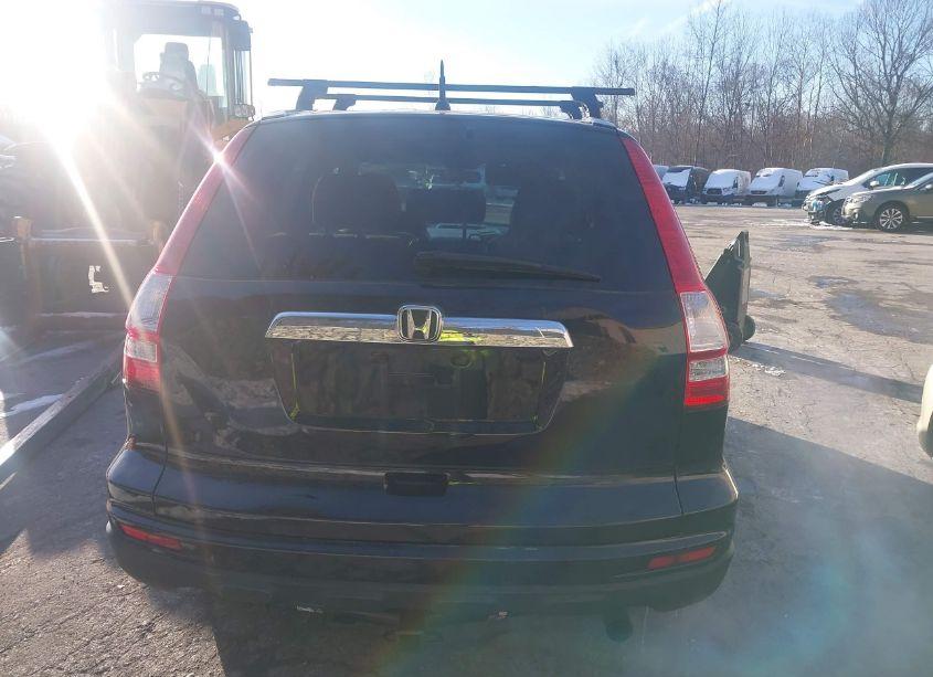 Photo 16 of 2010 Honda Cr-v EX (VIN 3CZRE4H59AG704141)