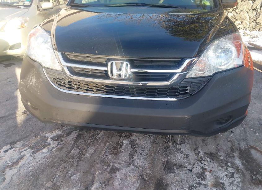 Photo 17 of 2010 Honda Cr-v EX (VIN 3CZRE4H59AG704141)