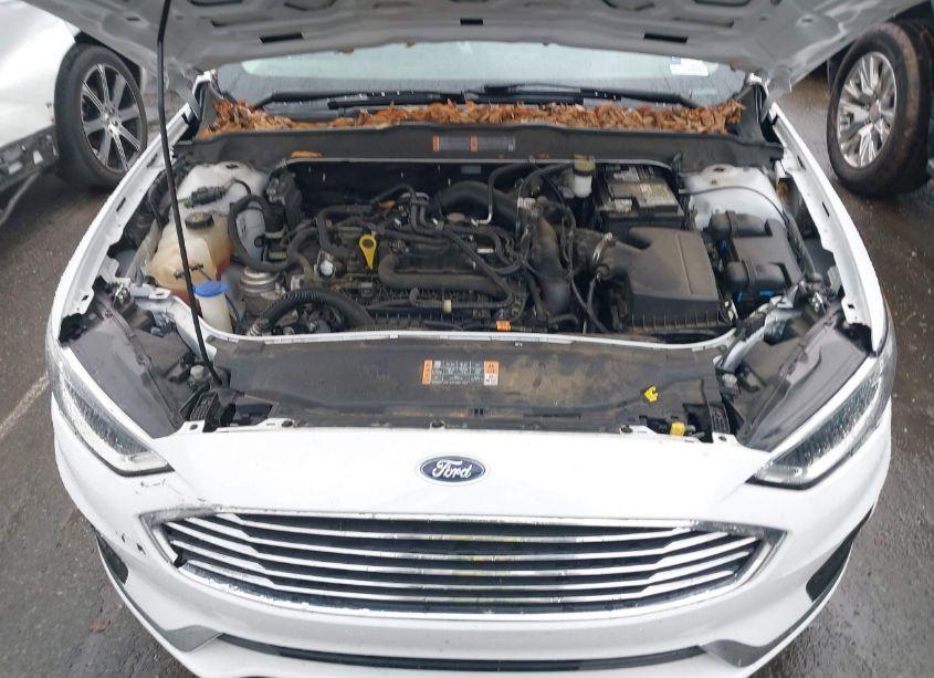 Photo 10 of 2019 Ford Fusion SEL (VIN 3FA6P0CD2KR181874)